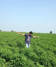 Yashwanth Reddy