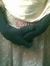 Syeda H...