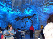 MR.CRAZY TIGER#COOL GUY