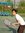 zhengyu...