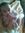 Sobia Naseer | 1 comments