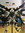 Israel Gamboa | 1 comments
