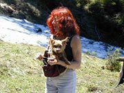 Angelika Pfaff-evers