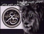 Mohammad Daabool