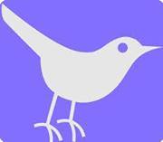 رابح عبد الرحمن