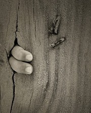 Success Needs efforts