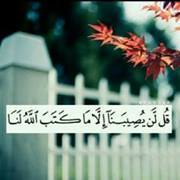 نبيلة شيخون