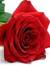 Corazon Villaruz