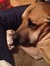 Luise