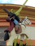 Sawyer