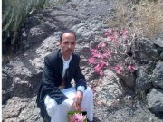 هشام المواز