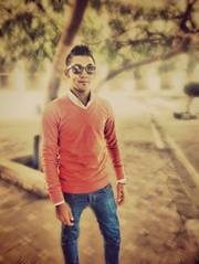 Hossam Kamel