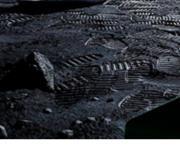Han