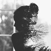 Shirley Liao