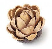 ولاء الحنابي