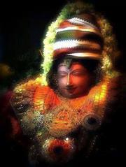 Aruna Reddy