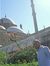 Ayman H...