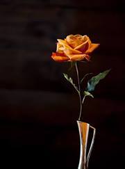 על-יאַקאָוב יאַקעען