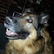 Rose Smithson leeland