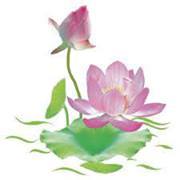 Bình Cảnh