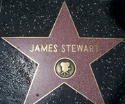 Jambo Stewart
