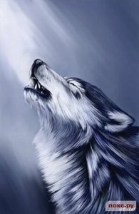 Игорь Таборский