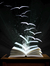 Four Book Freaks
