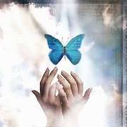 تاجن  محمد الحاج