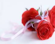 Dina Zayed