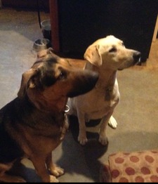 Bernandjohnyahoo.com