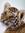 Hope Rippy | 5 comments