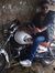 Javed Mansuri
