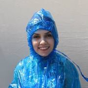 Hamideh Ramtin
