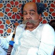 Mohamed Elnemaky