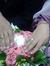 Ahmed M...