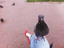 Наташа Власова