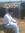 Mohit S...
