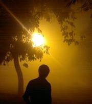 Dheeraj Reddy