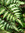 Steve | 1 comments