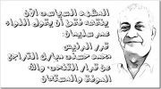Tarek Abo elneel