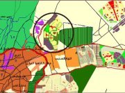 الصفوة للمقاولات