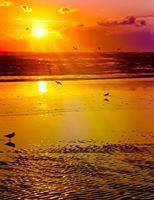 محمد ابراهيم