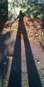 Kate Ward