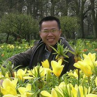 Thong Vu van
