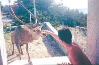 Γεώργιος Δούμας