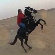 Husam Abdulrahman