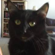 Brooke J. Kaplan-Gloth