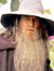 Gandalf...