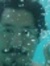 Juan An...