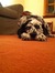 Oliver